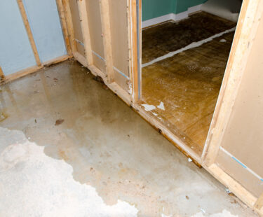 5 Tips To Prevent Basement Water Damage