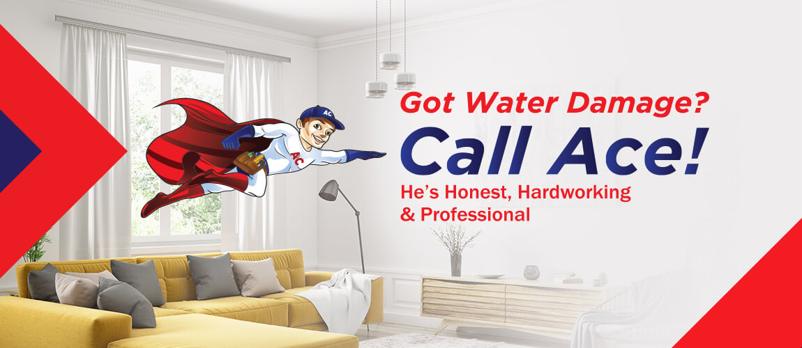 Got Water Damage? Call Ace! He's honest, hardworking & professional