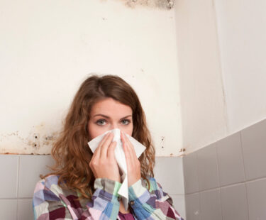 When Water Damage Becomes Mold