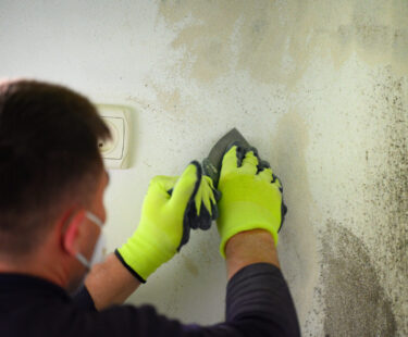 Mold From Water Damage: Mold Removal and Remediation